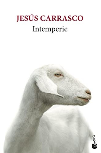 Jesús Carrasco: Intemperie (Paperback, Booket)
